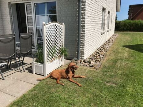 Seitenansicht mit Terrasse und Gartenanteil, der mitbenutzt werden kann