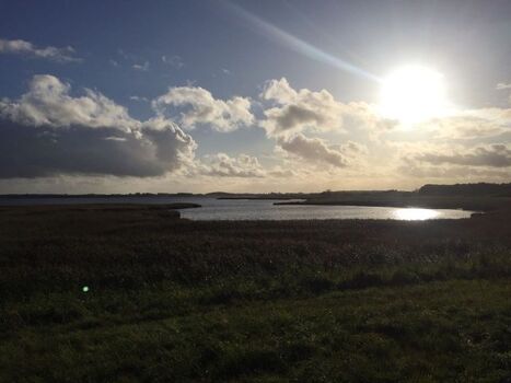 Herbstspaziergang von der Wohnung aus