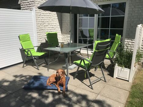 Terrasse in Südwestlage und Sichtschutz