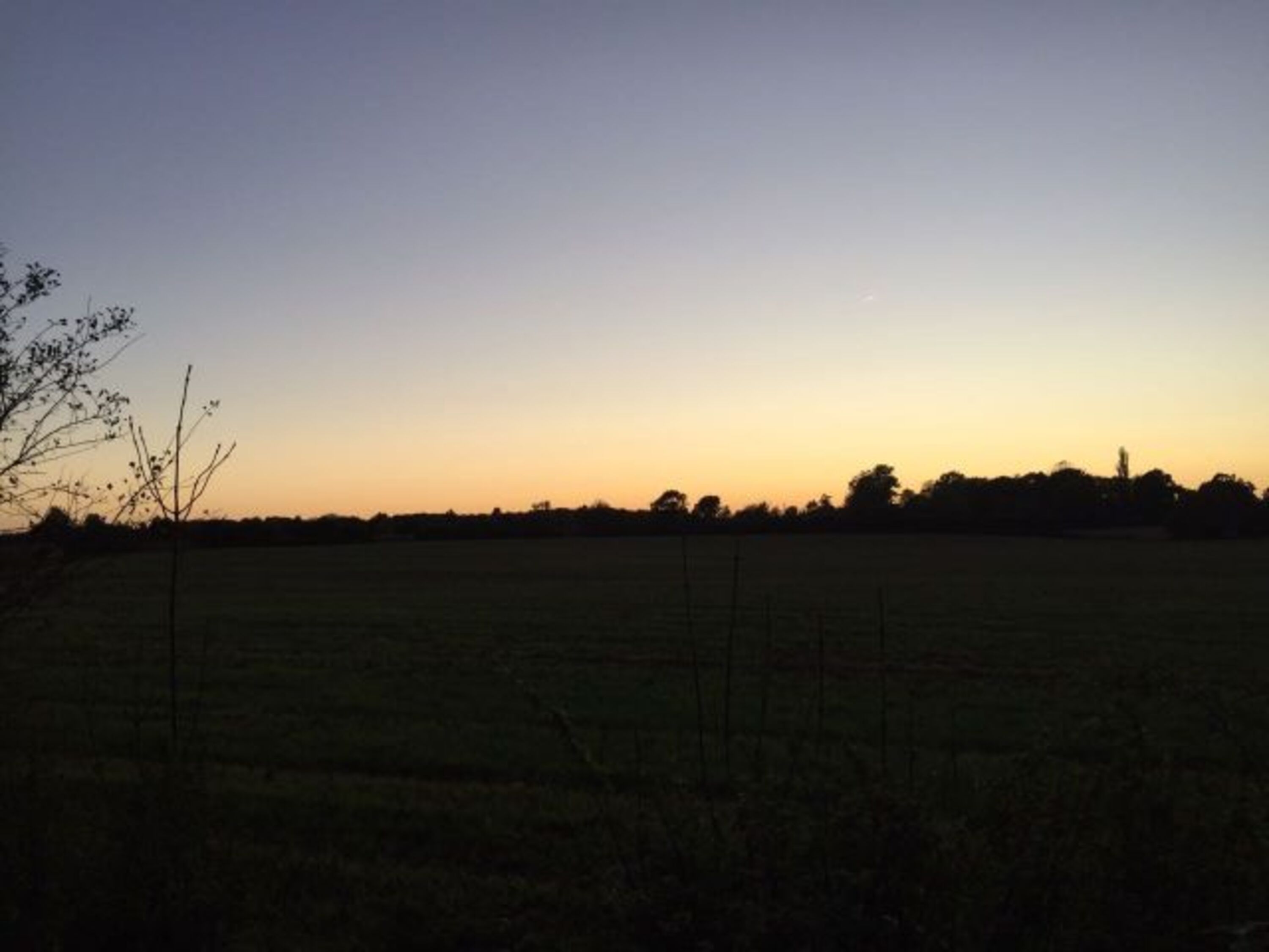 Herbstblick aus dem Garten