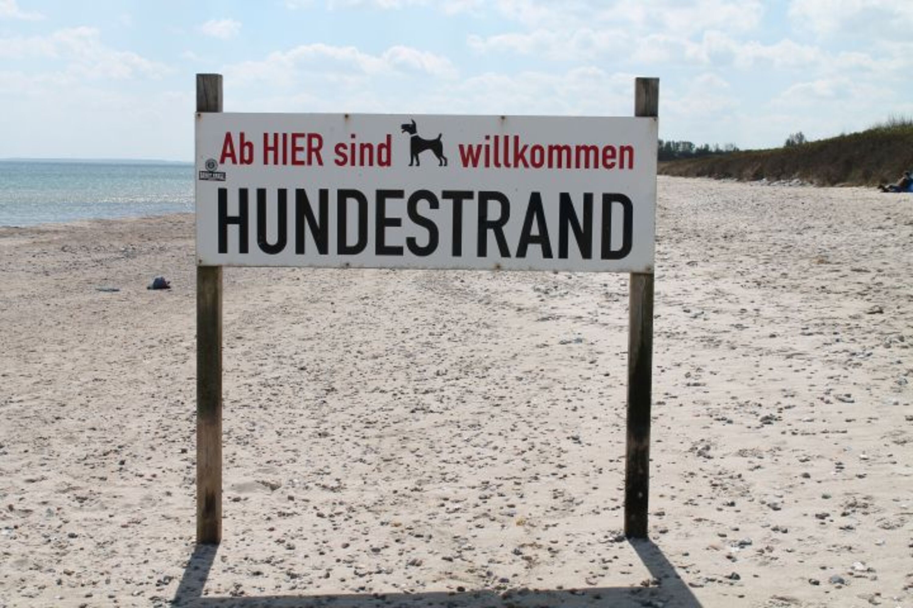 Bild 21