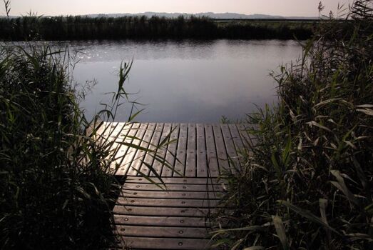 Steg am Noord-Holland Kanal nur wenige Schritte vom Haus