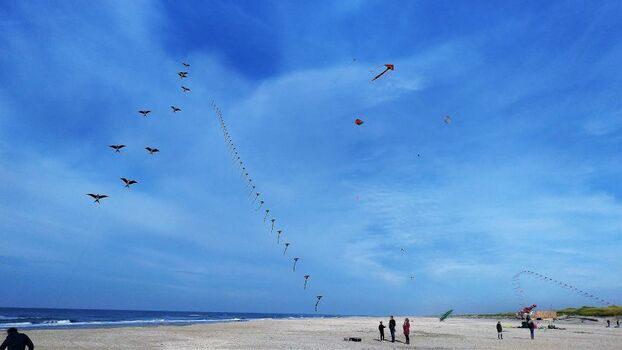 Am Strand sind Hunde erlaubt.