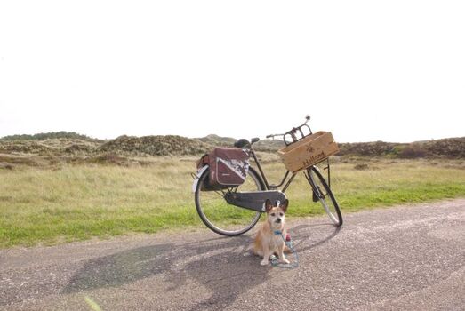 Mit dem Fahrrad durch die Dünen