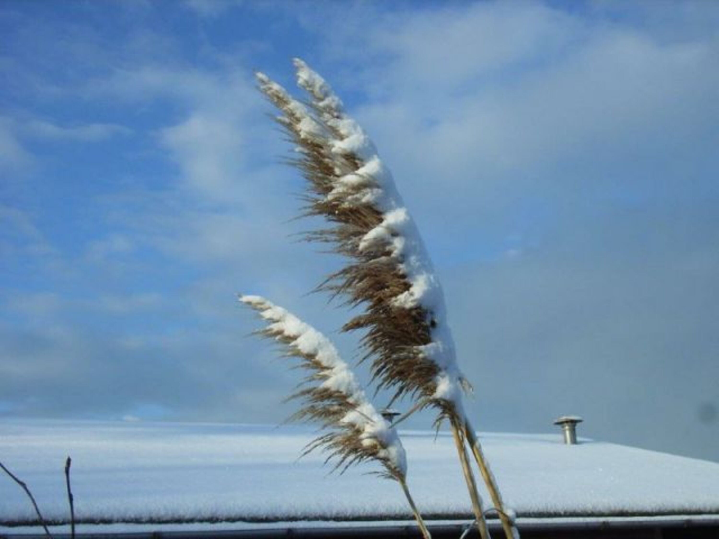 Bild 21