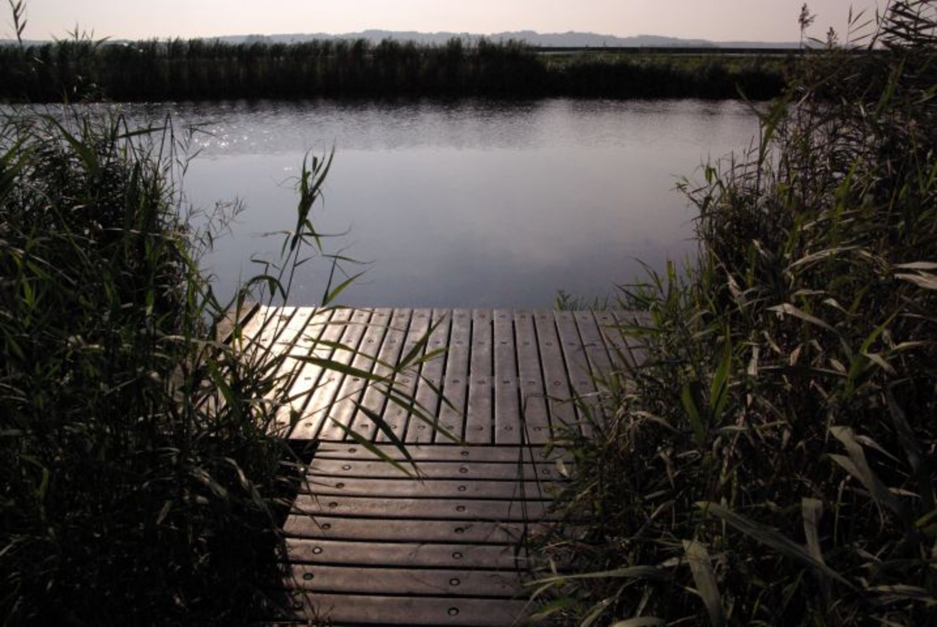 Steg am Noord-Holland Kanal nur wenige Schritte vom Haus