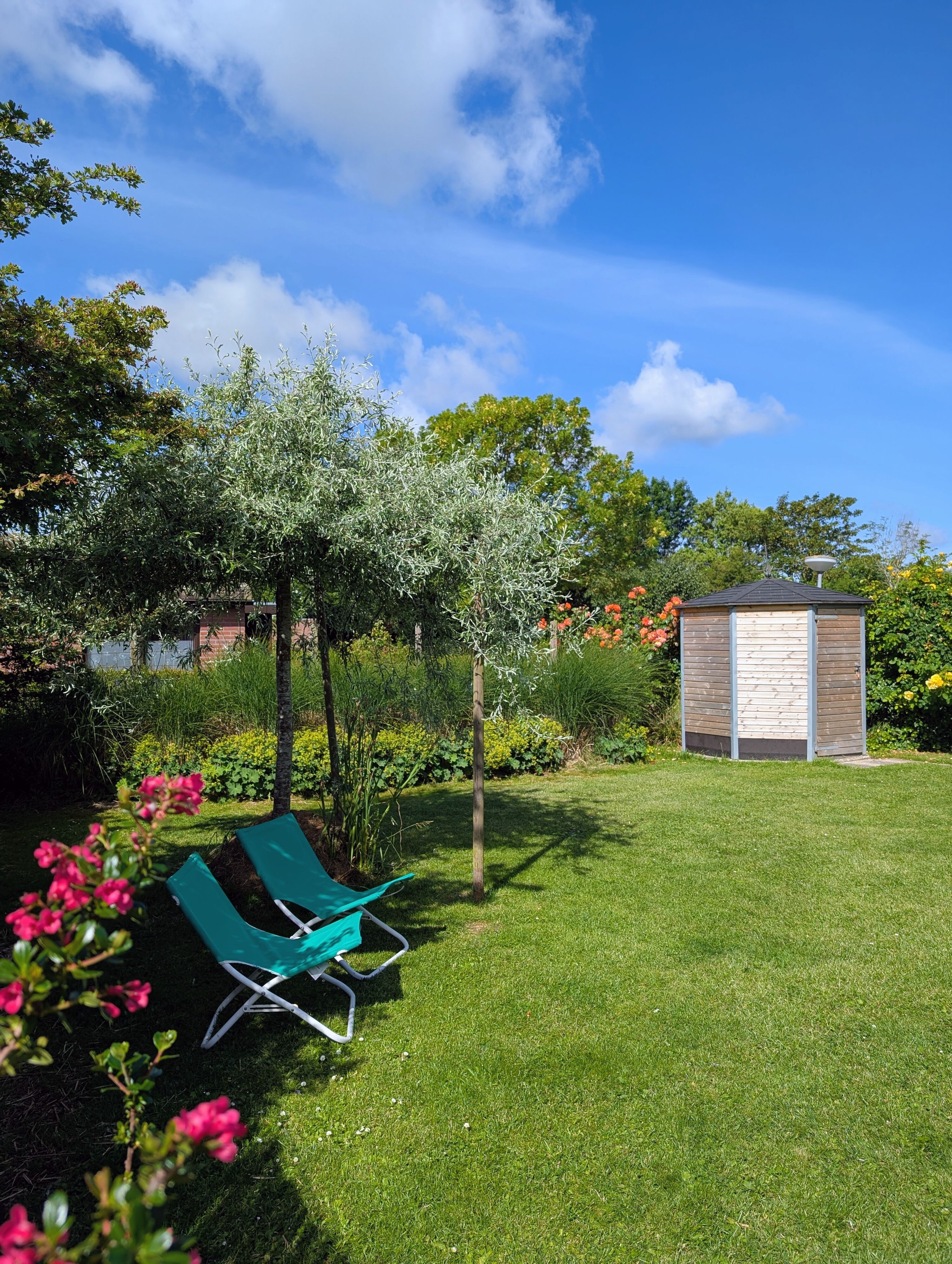 Großer, sicher eingezäunter Garten mit schattigem Sitzplatz unter dem Baum.