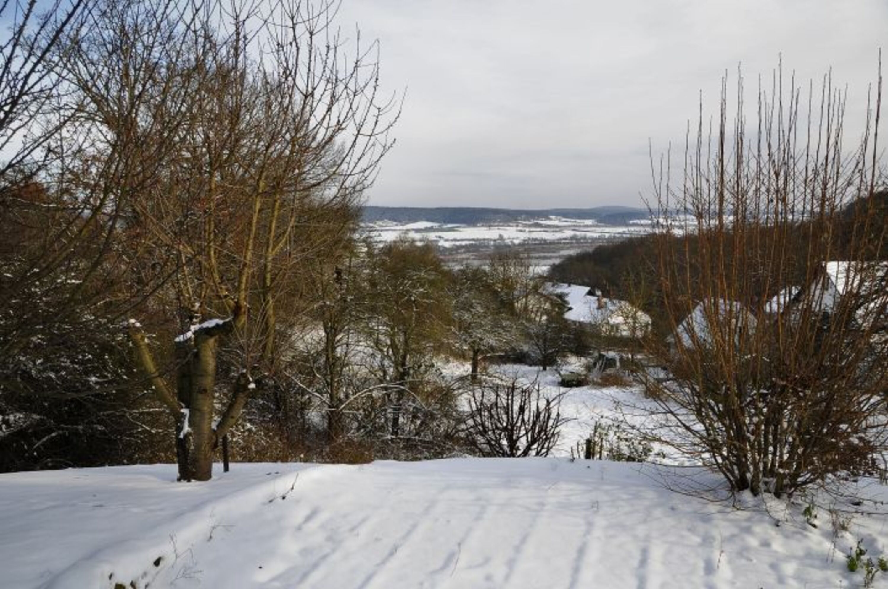 Winter