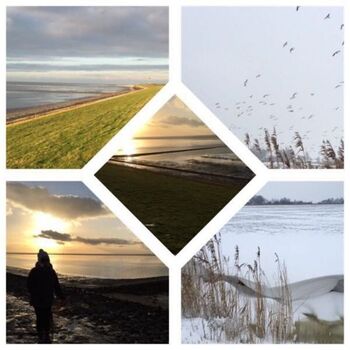 Umgebung Haus Krabbi - Urlaub, Natur, Erholung