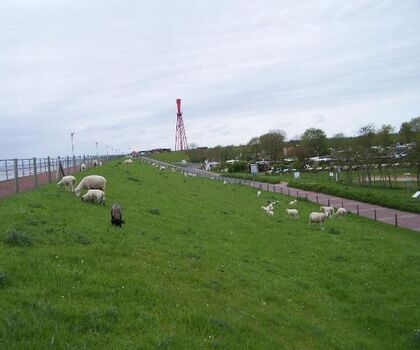 Umgebung Haus Krabbi - Urlaub, Natur, Erholung