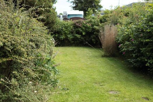 Blick durch den Garten