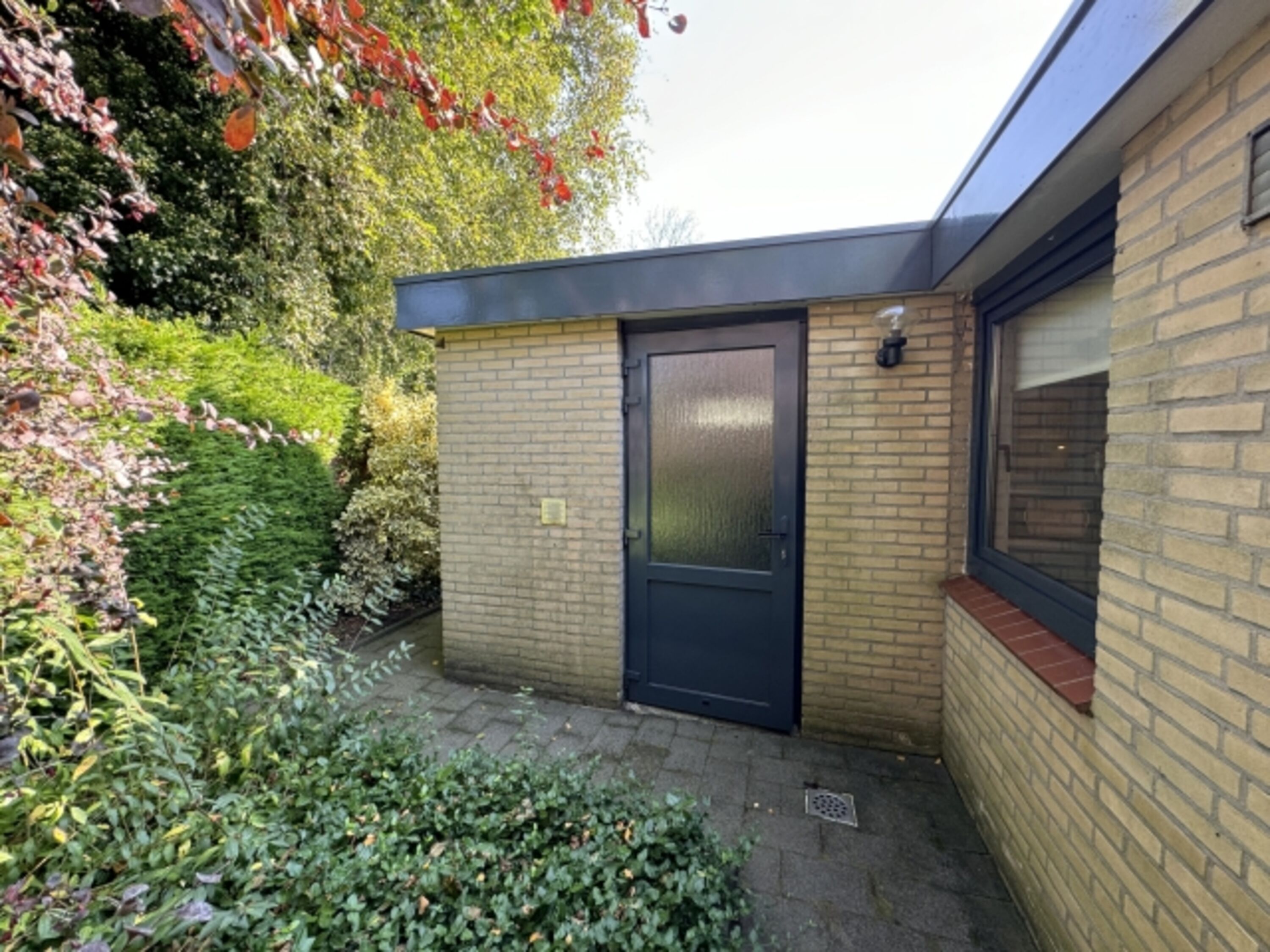 Bild 12