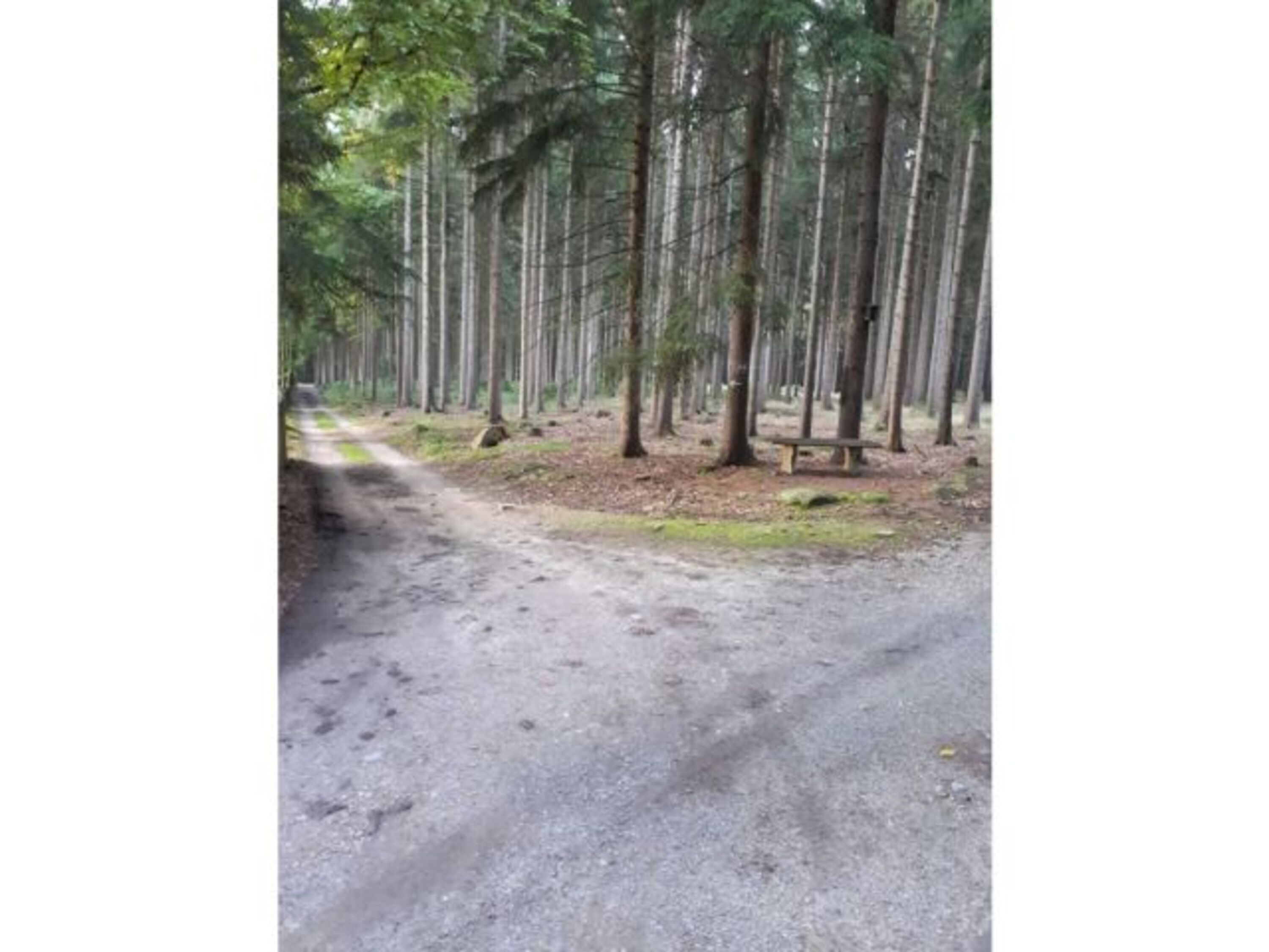 Wanderwege 