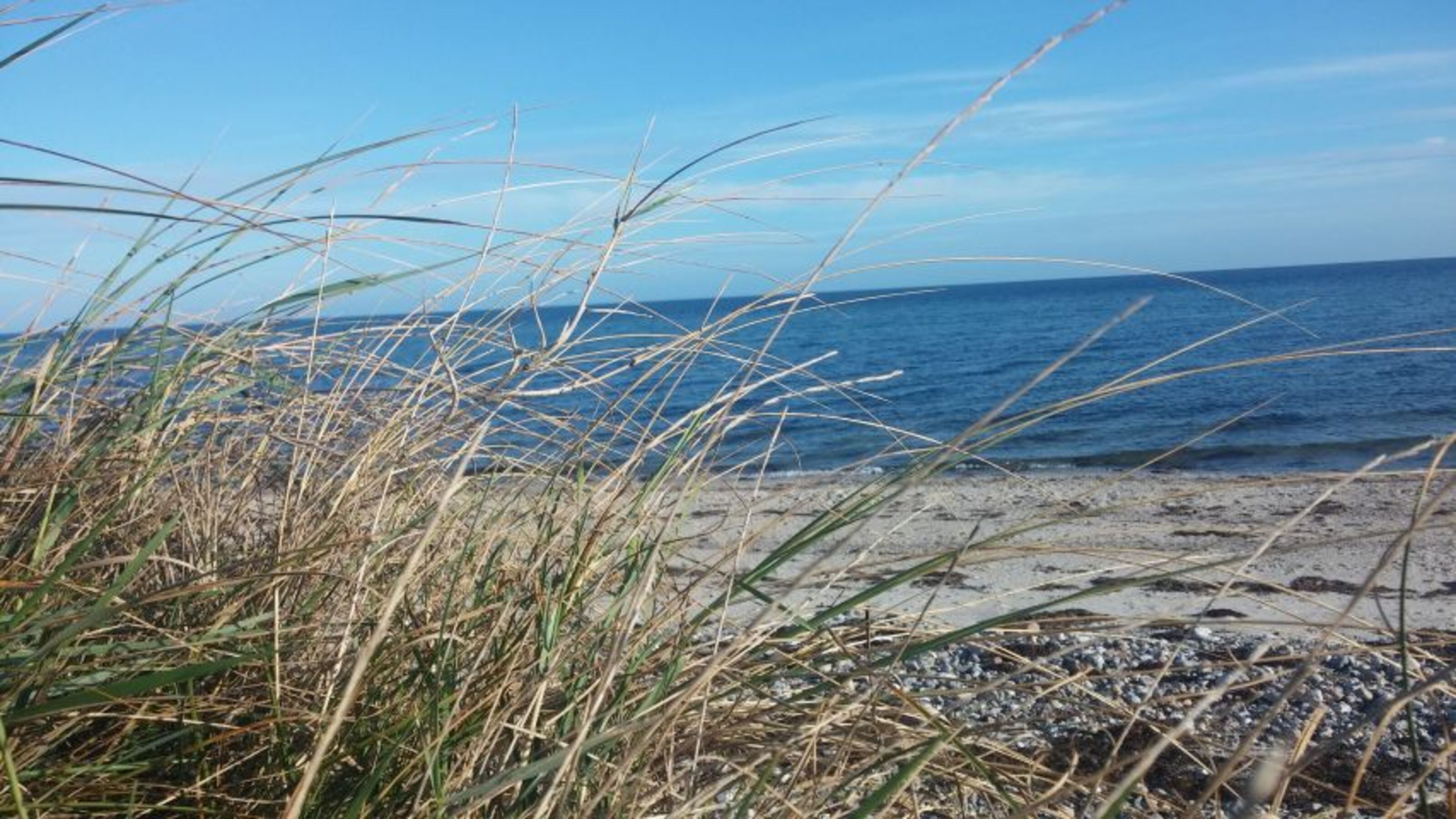 Bild 20