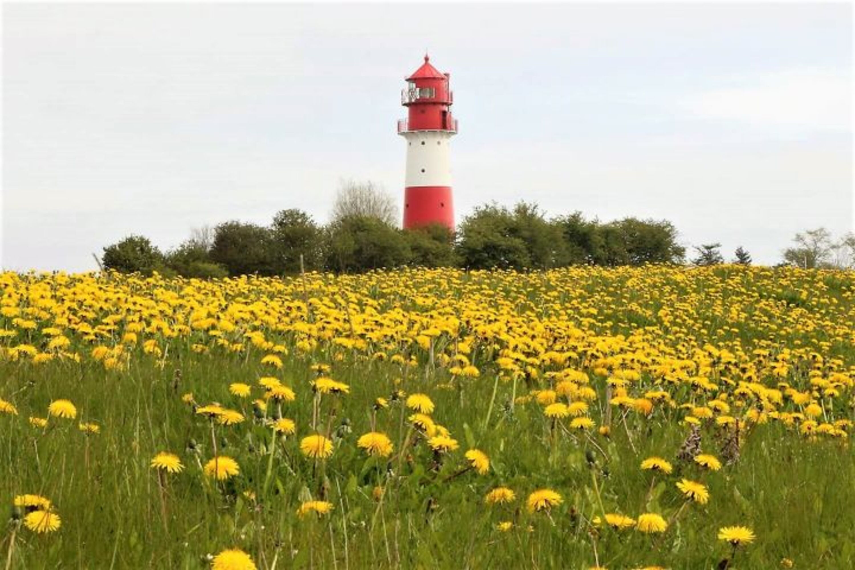 Leuchtturm Falshöft