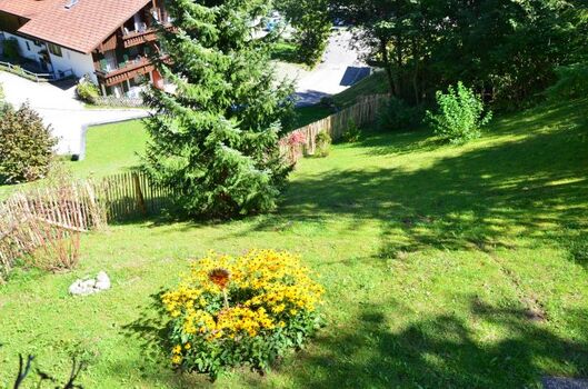 Garten hinter dem Haus