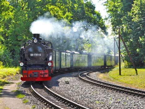 Der Rasende Roland auf Rügen