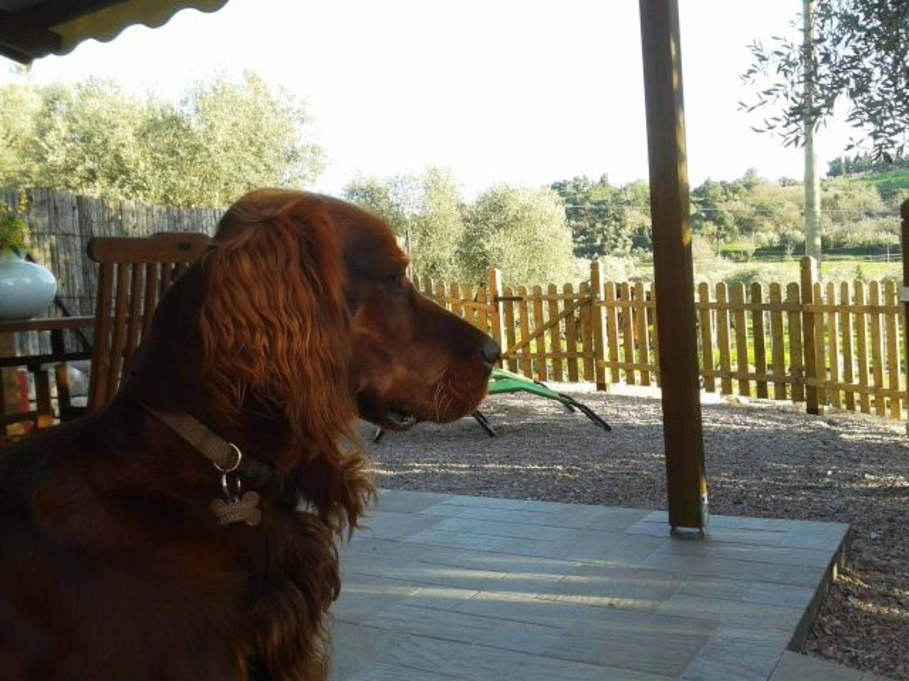 Bild 14