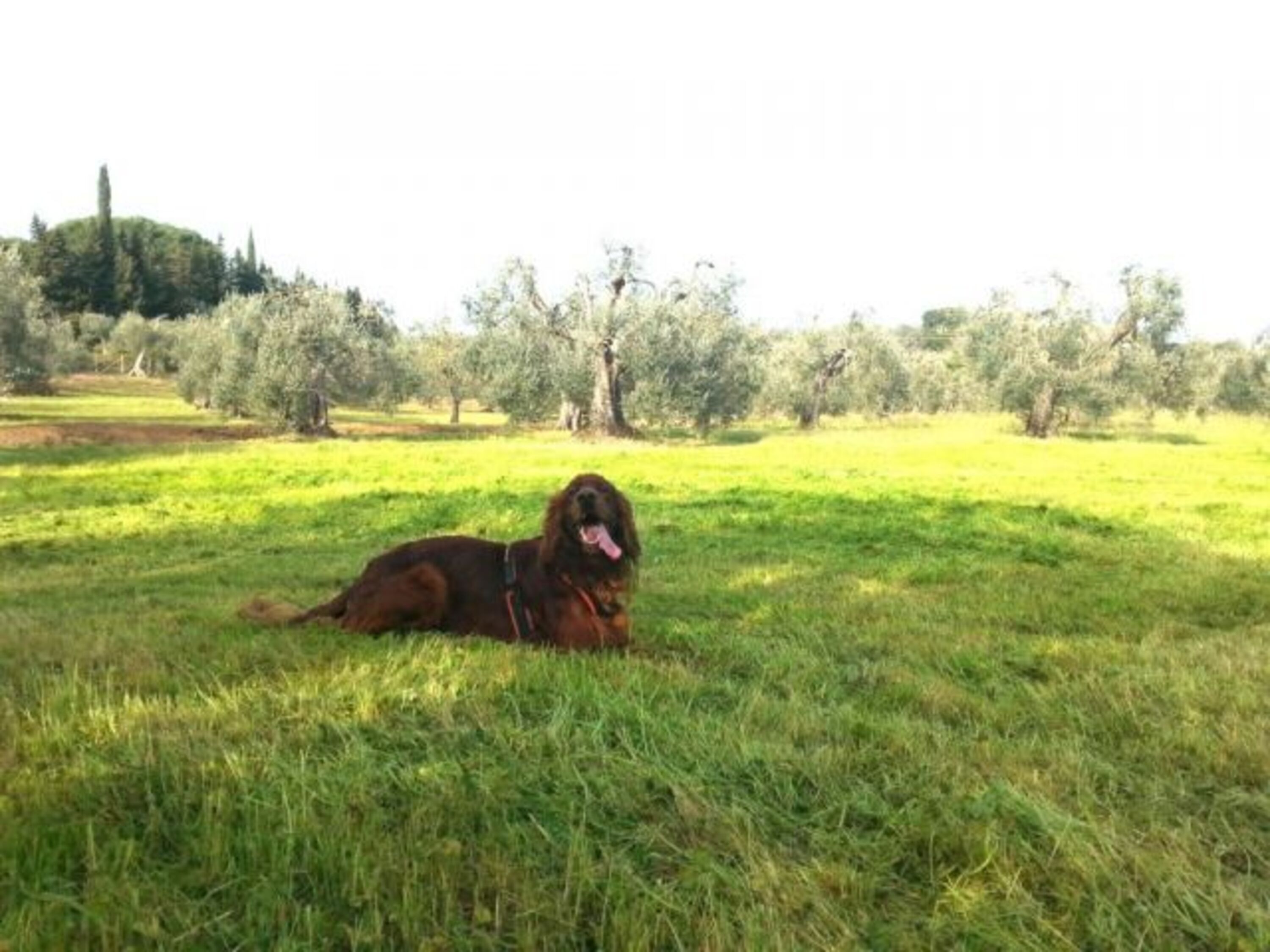 Bild 11