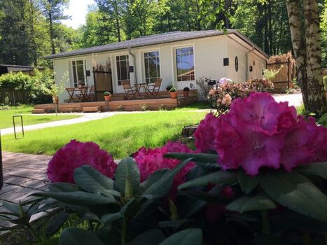 Sommer im Little Suites