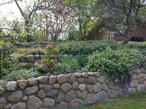 bepflanzter Friesenwall