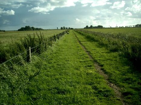 Feldweg vor dem Haus