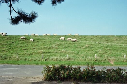 Blick aus dem Schlafzimmerfenster im E.G.