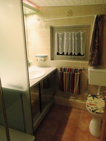 Bad mit Dusche und WC im Blockhaus