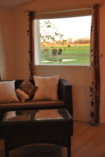 Blick aus der Sauna auf die Pferdekoppel