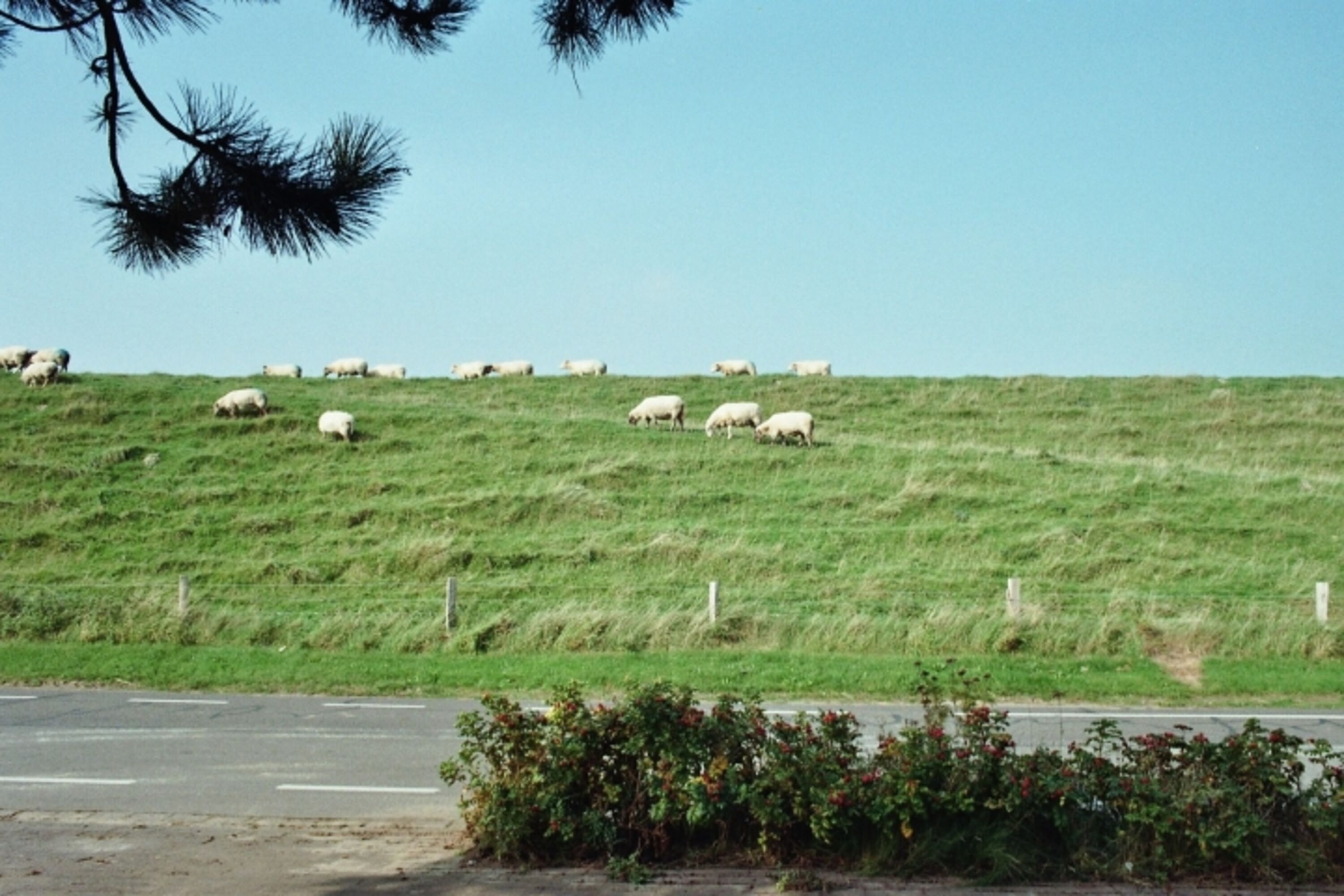 Blick aus dem Schlafzimmerfenster im E.G.
