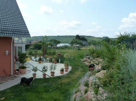 Blick in den Nachbargarten