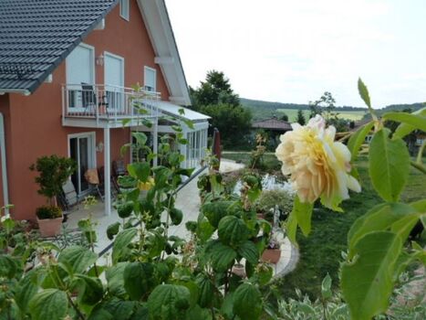 Blick auf Terrasse des Nachbarn vom hinteren Garten aus