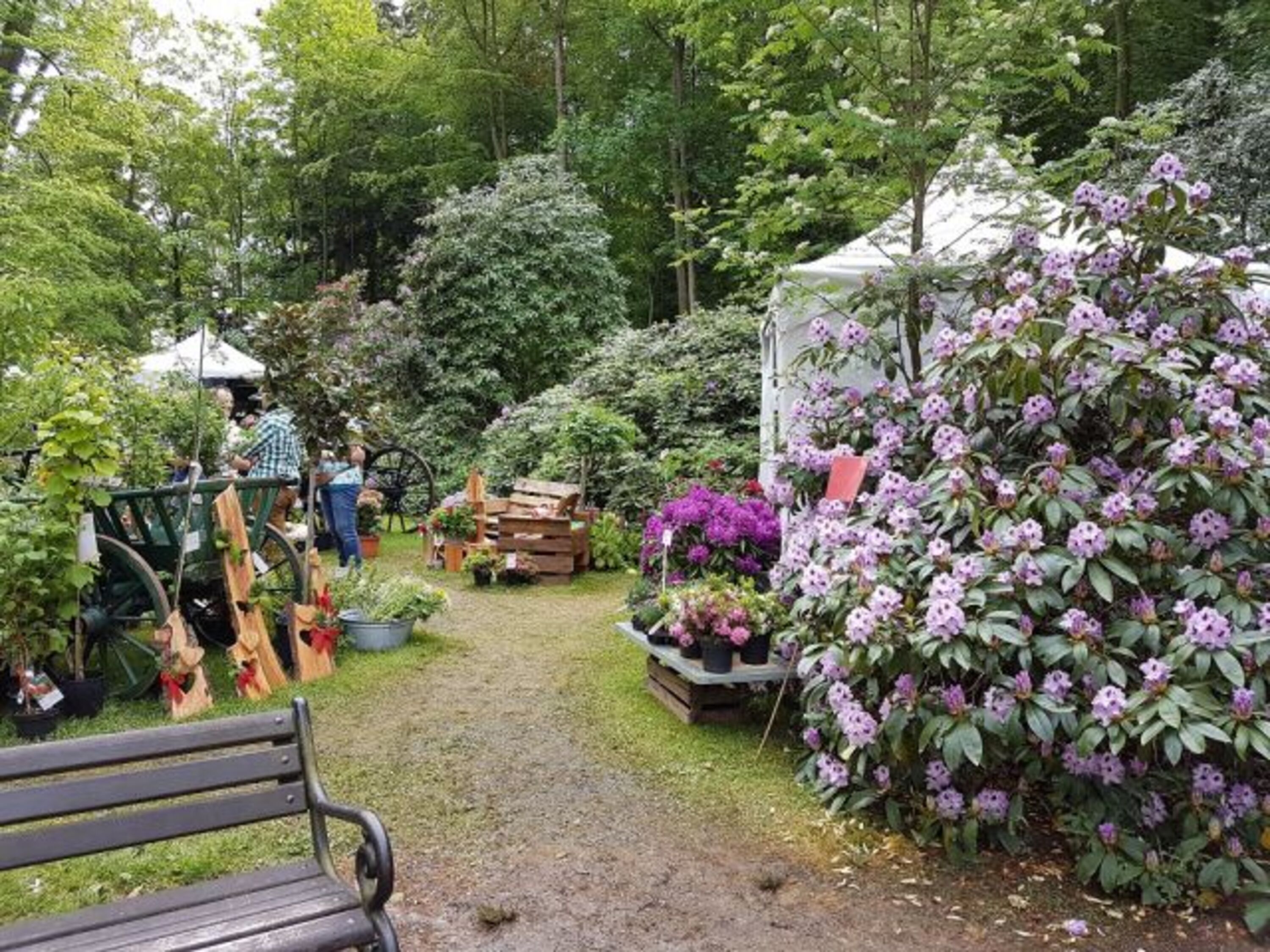 Countryfair