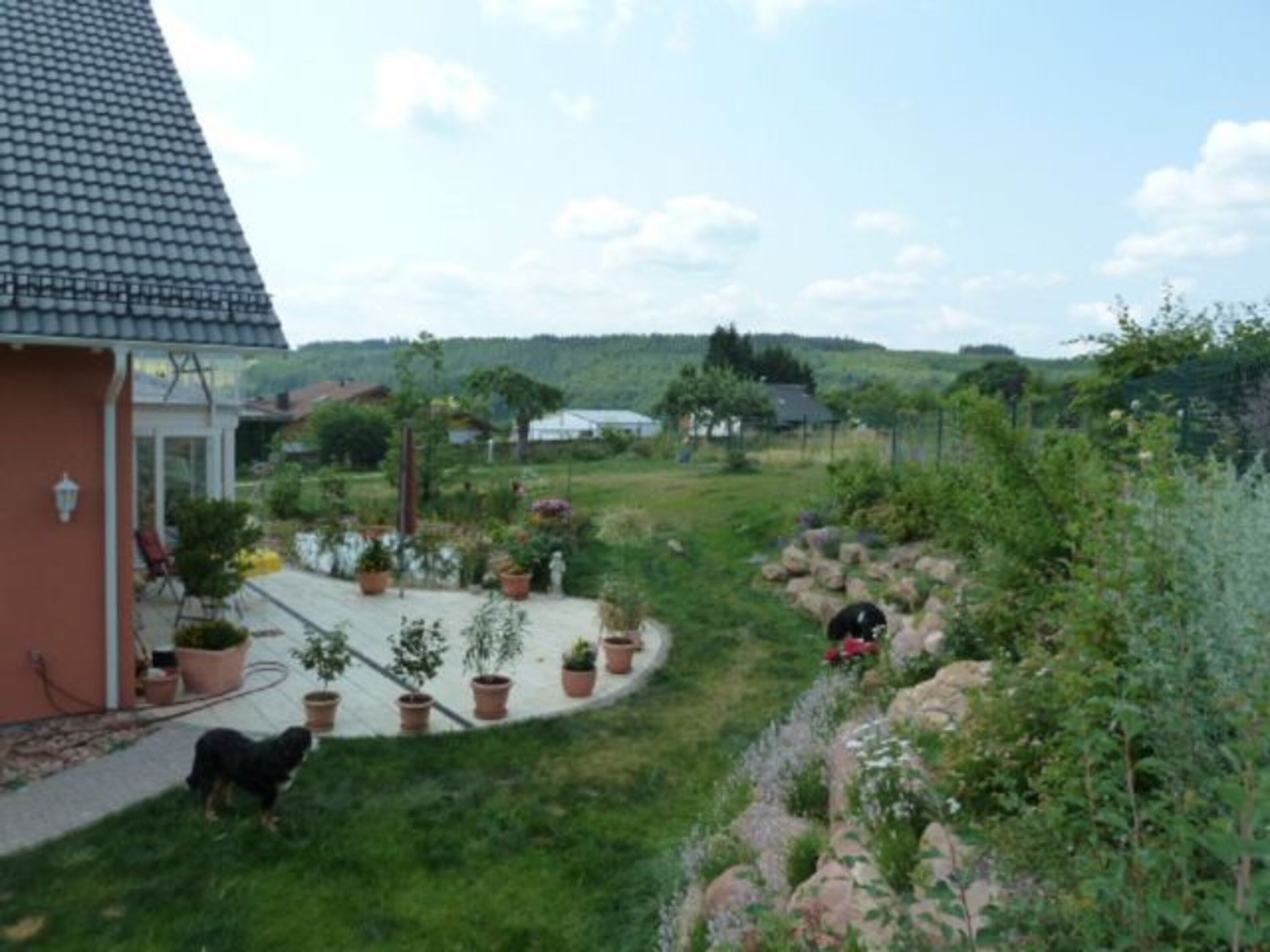 Blick in den Nachbargarten