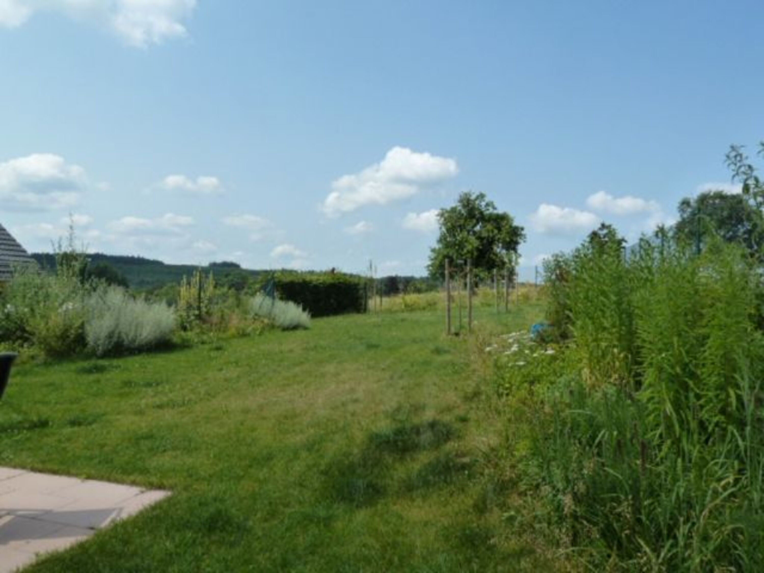 Blick in den Garten
