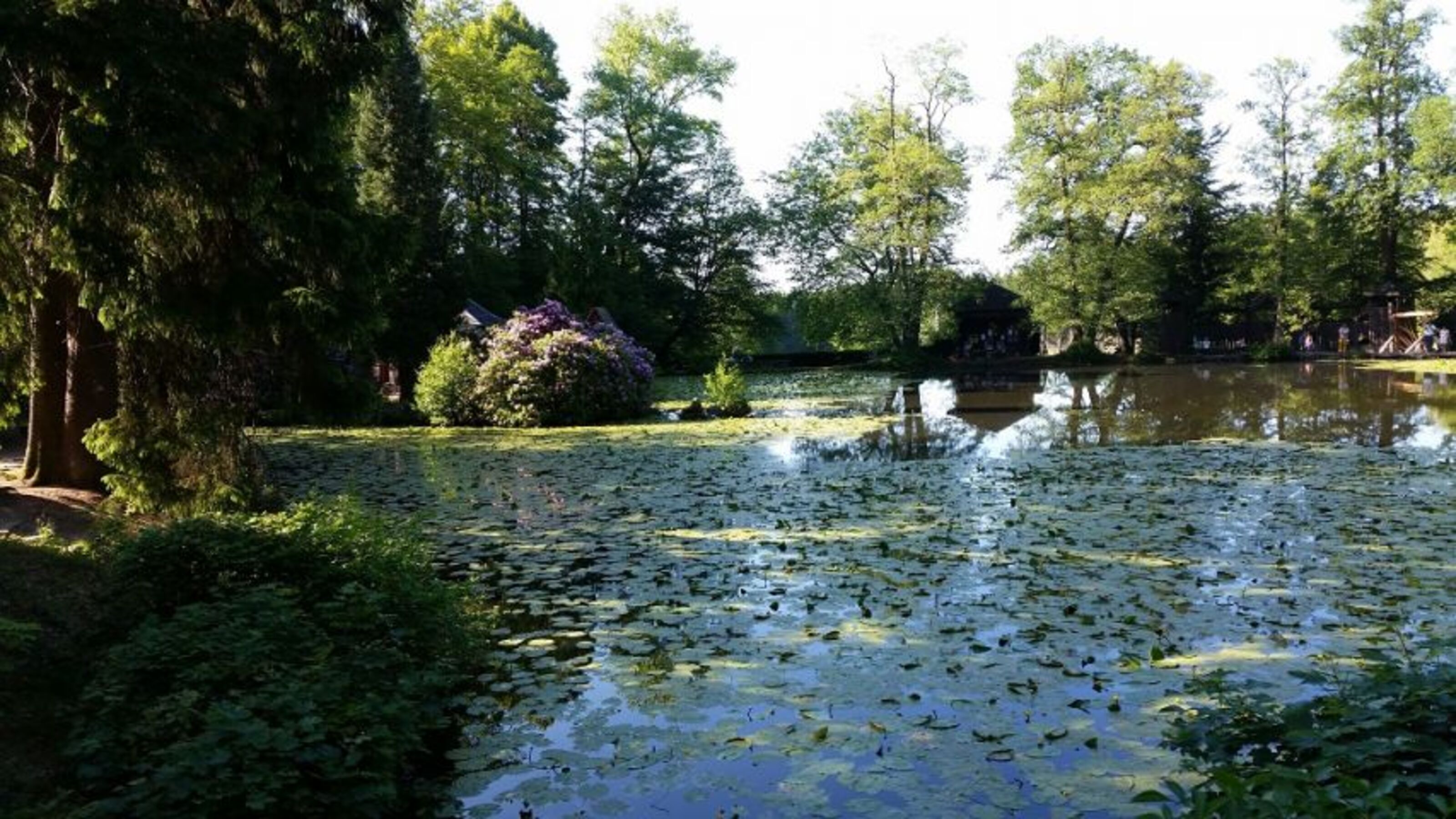 Wildpark Eulbach