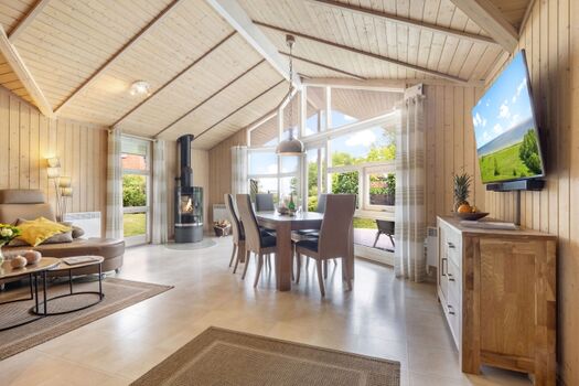 Blick auf Kaminofen und Glasgiebel im Wohnraum