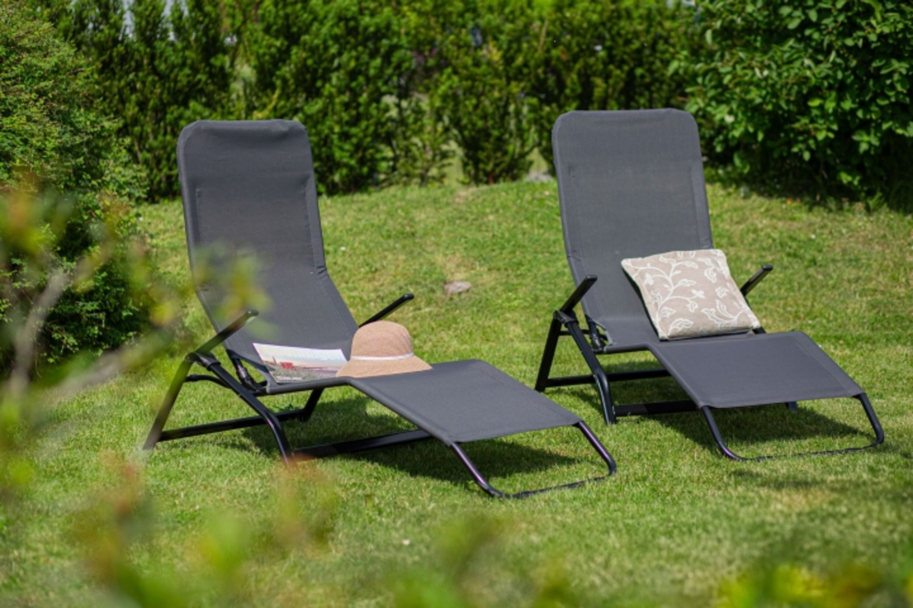 Sonnige Grüße von der Liegewiese (1000qm eingezäuntes Grundstück)