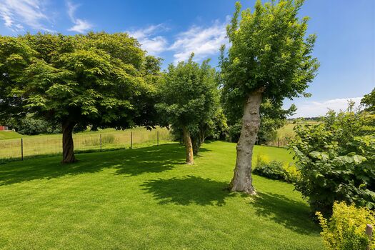 Blick in den 1.200qm großen, eingezäunten Garten