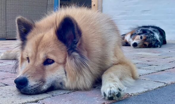 Urlaub kann sooo entspannt sein