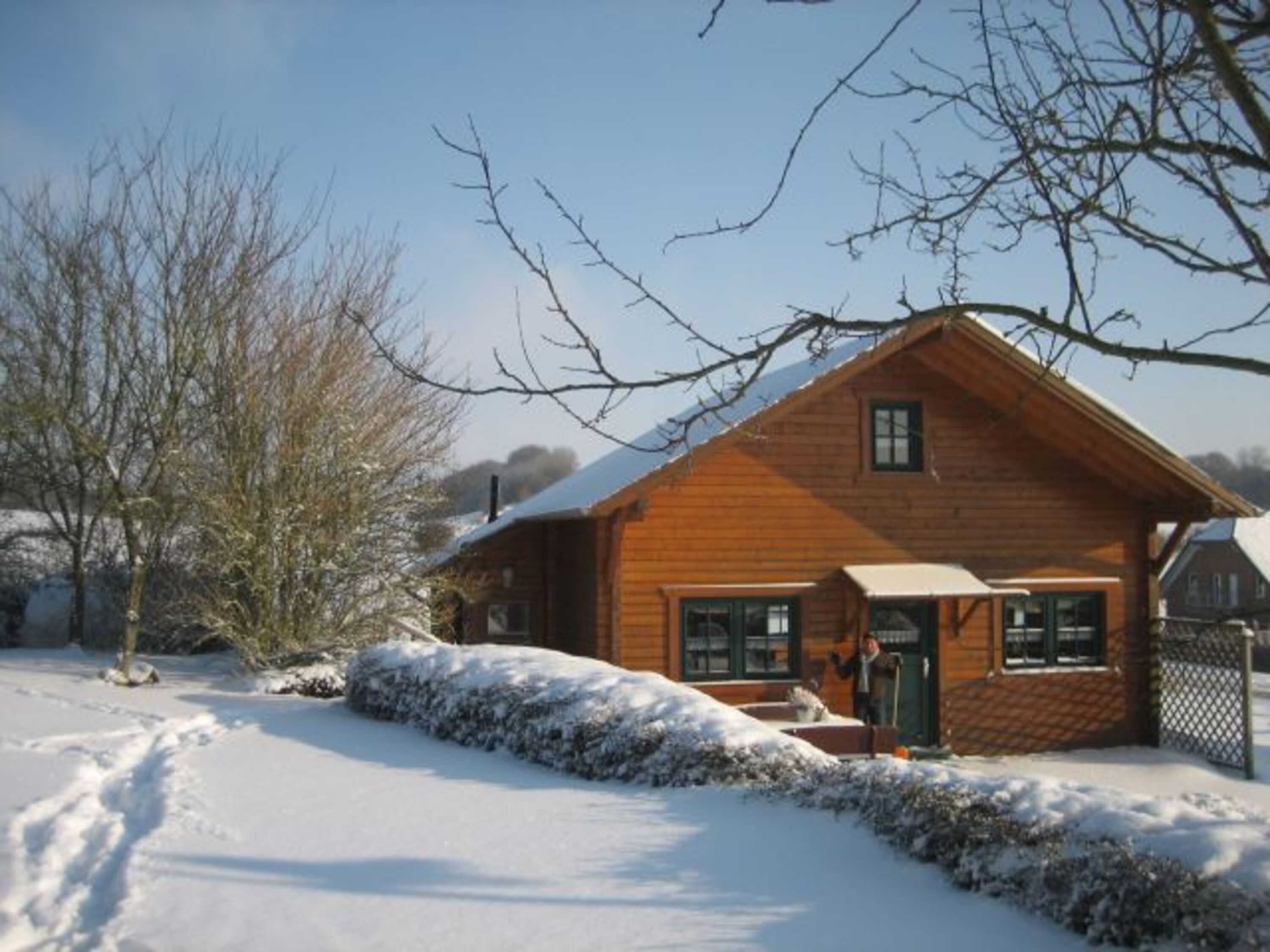 Winter 