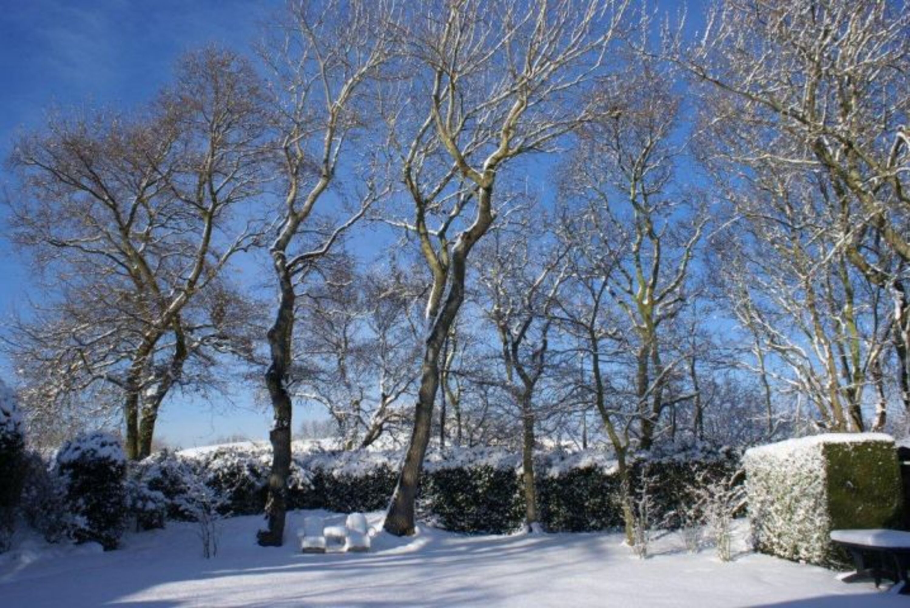 Garten Winter