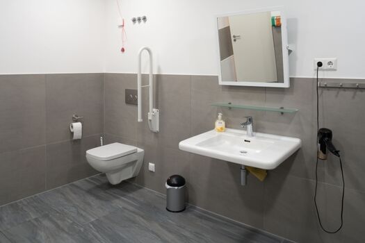 Duschbad - WC und Waschbecken