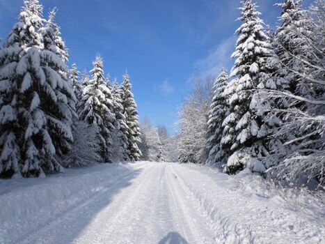 Wandern durch die verschneite Natur