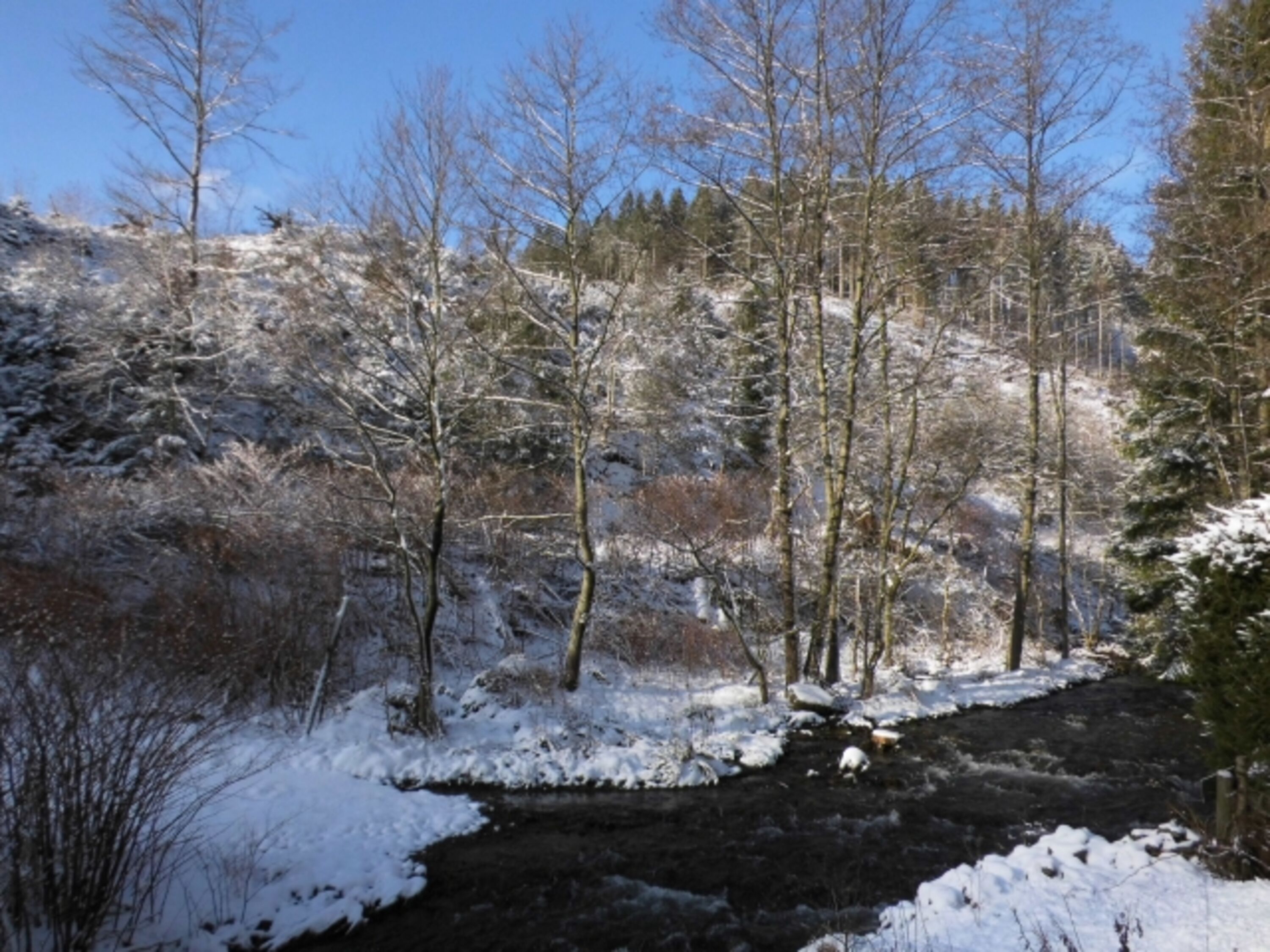 Natur pur
