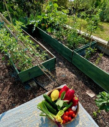 Hochbeete im Gemüsegarten für unsere Gäste
