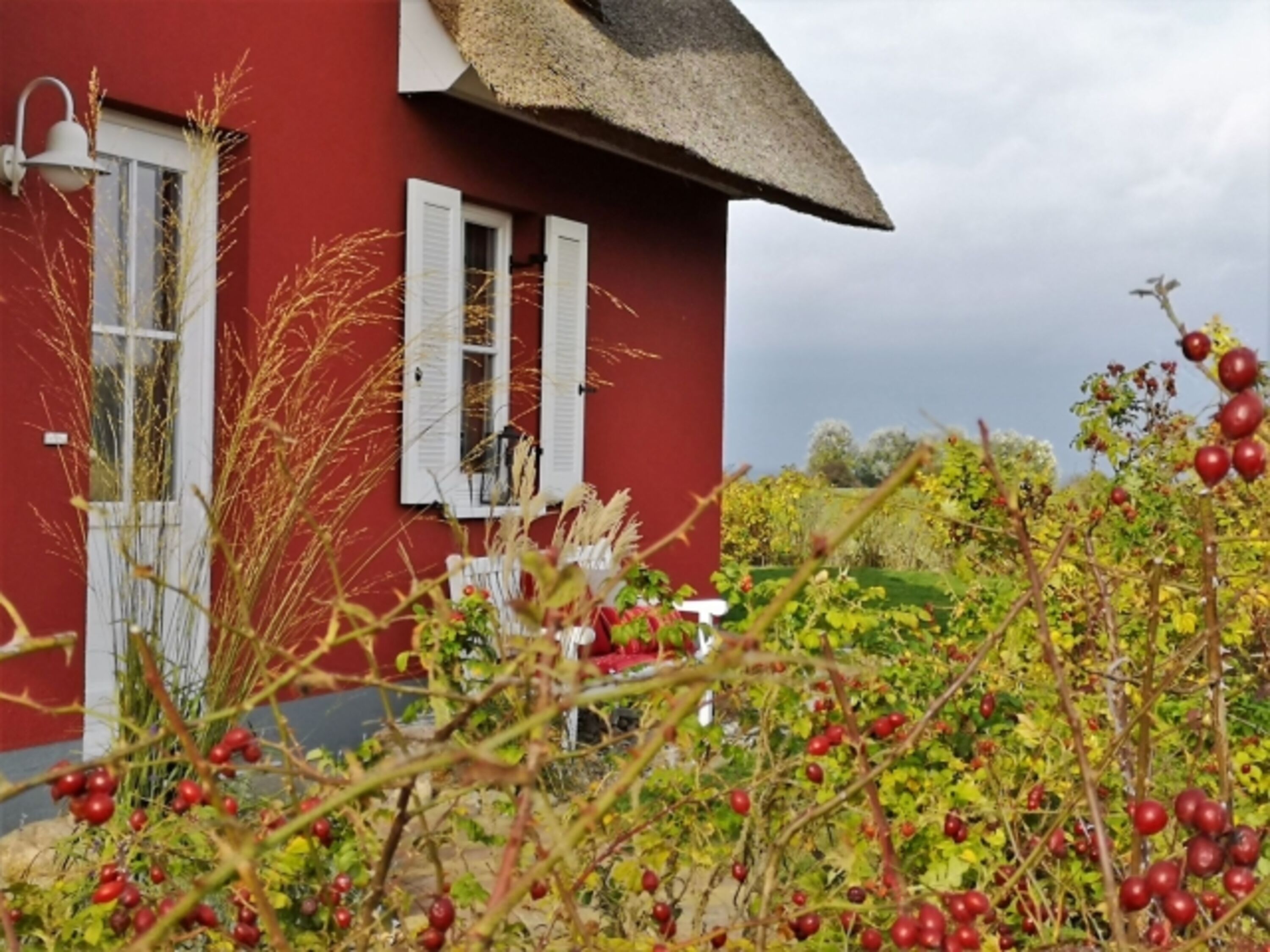Bild 19