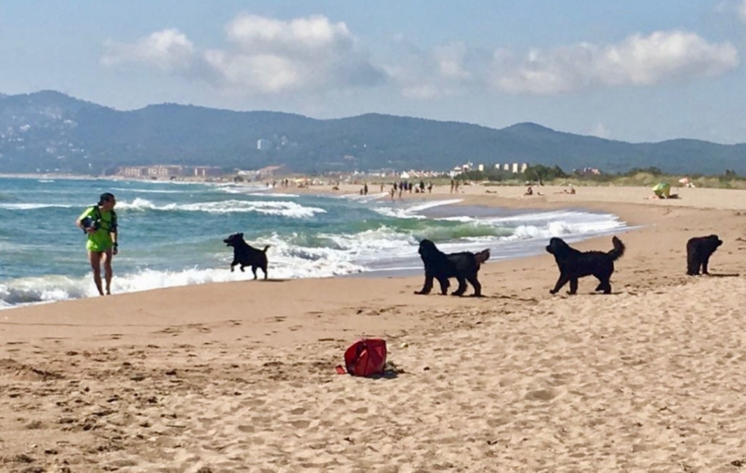Hundestrand 