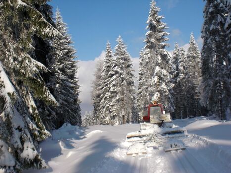 Winter im Harz