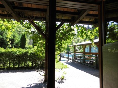 Blick aus der Küche